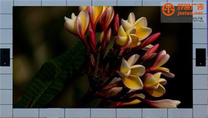 泰州LED全彩顯示屏制作商